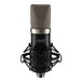 IMG Stageline ECMS-70 Large Diaphragm Condenser Microphone, Front with Mount