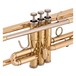 Coppergate Professional Trumpet by Gear4music - B-Stock