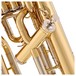 Besson BE165 Prodige 4 Valve Euphonium, Clear Lacquer, Fourth Valve
