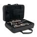 Buffet E13 Bb Clarinet with Gig Bag Case case open