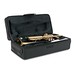 Student Trumpet by Gear4music, Gold case open