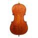 Eastman Young Master Cello Back