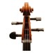 Eastman Young Master Cello Head