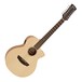 Faith Naked Venus Electro Acoustic 12-String