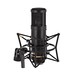 Sontronics STC-2 Condenser Mic, Black