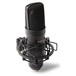 MPM2000U USB Condenser Microphone - Angled