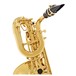 Jupiter JBS1000 Baritone Saxophone Outfit mouthpiece
