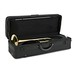 Coppergate Alto Trombone, by Gear4music case open