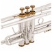 Bach Stradivarius Centennial Trumpet, Limited Edition keys