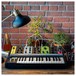 Moog Grandmother Semi-Modular Analog Synthesizer - Lifestyle