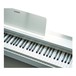 Casio PX-870 Digital Piano Keys