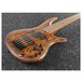 Ibanez SR655E 5-String Bass, Antique Brown