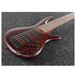 Ibanez SR506E 6-String Bass, Brown 