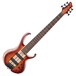 Ibanez BTB20TH6 20th Anniversary 6-String Bass, Brown Topaz Burst