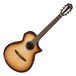 Ibanez AEWC300N Electro Nylon, Natural Browned Burst