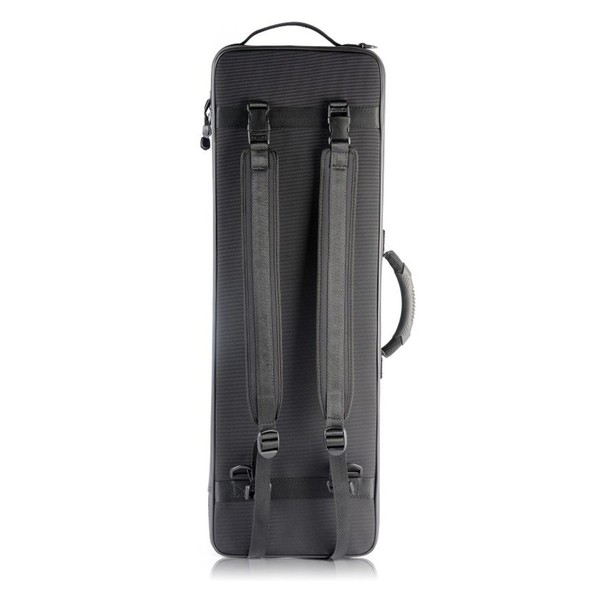 BAM 2002B Artisto New Style Oblong Violin Case, Straps