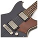 Yamaha Revstar RSP20CR, Rusty Rat