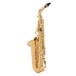 Conn Selmer Liberty Alto Saxophone Gold Lacquer