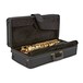 Conn Selmer Liberty Alto Saxophone Gold Lacquer