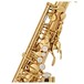 Conn Selmer Liberty Alto Saxophone Gold Lacquer