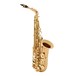 Conn Selmer Liberty Alto Saxophone Gold Lacquer