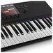 Native Instruments Komplete Kontrol S49 MKII Keyboard - Screen Detail