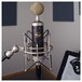 Blue Baby Bottle SL Vintage Microphone - Lifestyle