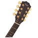 Taylor 316e Baritone-8 LTD Electro Acoustic, Blackwood & Lutz Spruce