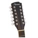 Hartwood Villanelle 12 String Acoustic Guitar
