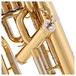 Besson BE165 New Standard 4 Valve Euphonium, Clear Lacquer close