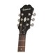 Dot Archtop, Sunburst