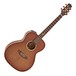 Takamine TF77-PT Electro Acoustic, Light Sunburst main