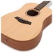 Taylor Academy 10 Dreadnought Acoustic close