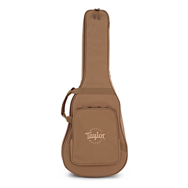 Taylor Academy 10 Dreadnought Acoustic case