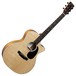 Martin GPC-13E Road Series Electro Acoustic