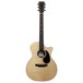 Martin GPC-13E Road Series Electro Acoustic - front