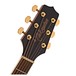 Takamine GN51CE NEX Electro Acoustic, Natural head