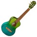 Ortega RUPR-IVY Prizm Tenor Ukulele, Flamed Maple Front View