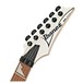 Ibanez RG350DXZ, White head