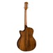 Luna High Tide Koa Grand Concert CAW Electro Acoustic, Back
