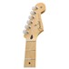 Player Stratocaster MN, Black