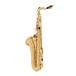 Odyssey OTS800 Premiere Bb Tenor Saxophone