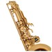 Odyssey OTS800 Premiere Bb Tenor Saxophone