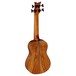 Ortega LIZARD-BS-GB Bass Ukulele