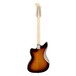 Fender Electric XII 12-String PF, 3-Color Sunburst  -Back