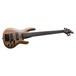 ESP LTD B-1005 Bass, Natural Satin, Angled