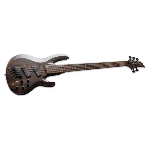 ESP LTD B-1005 Multi-Scale Bass, Natural Satin at Gear4music