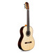 Cordoba C10 Luthier Series Parlour Classical Guitar, Natural Spruce