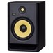 RP8 G4 Studio Monitor - Angled 2