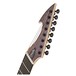 HypeGTR-R2-Multiscale8-Walnut Burl